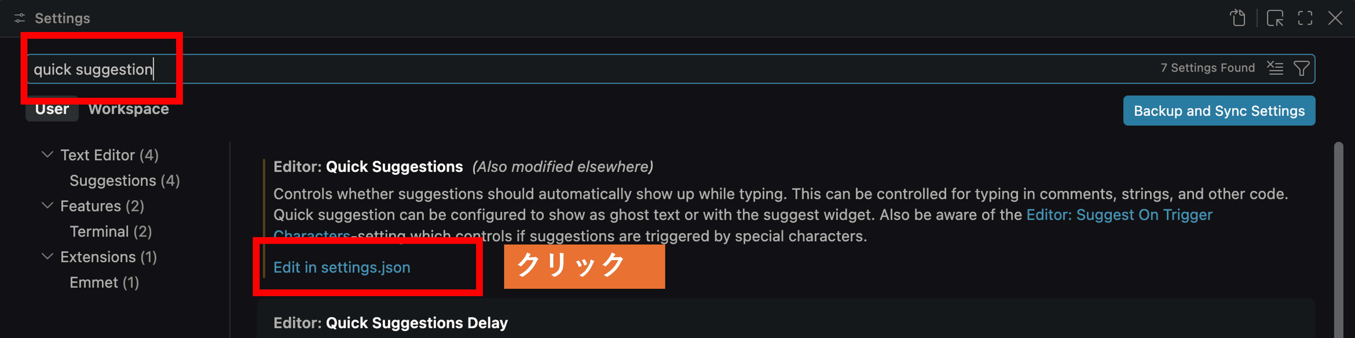 Quick Suggestionsの設定画面